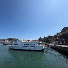 Tour de l'île d'Ischia en bateau avec escale à Sant'Angelo