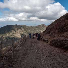 Från Sorrento: Pompeji och Vesuvius guidad tur med lunch
