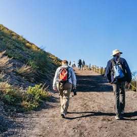Depuis Naples : Excursion facile au Vésuve