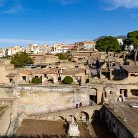 Depuis Naples : Herculanum coupe-file - Visite partagée