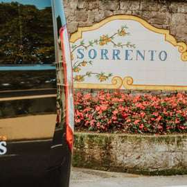 Excursie Pompeï en Vesuvius vanuit Sorrento in een dag