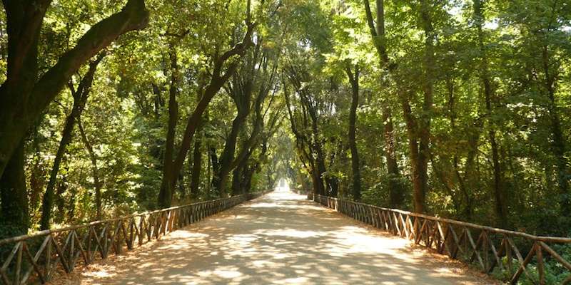 Park Capodimonte