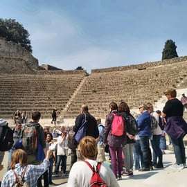 From Naples Pompeii & Mount Vesuvius Smart Tour with Tickets