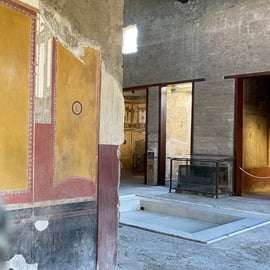 From Naples: Pompeii Guided Tour with Skip-the-Line Tickets