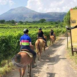 From Pompeii: Mount Vesuvius Horseback Riding Tour