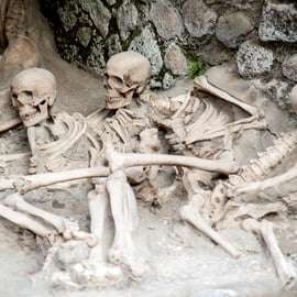 Herculaneum: 2-Hours Skip-the-Line Tour and entrance tickets