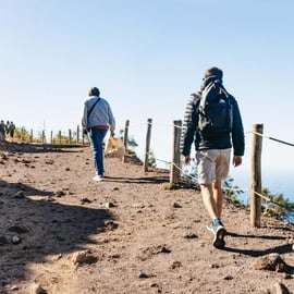 Depuis Naples : Excursion facile au Vésuve