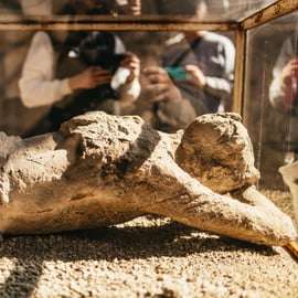 Pompeii Tour from Naples by Bus with Fast-Track Entry