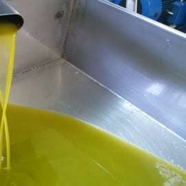 Sorrento: Lemon, Olive Oil and Wine Tasting Tour with Lunch