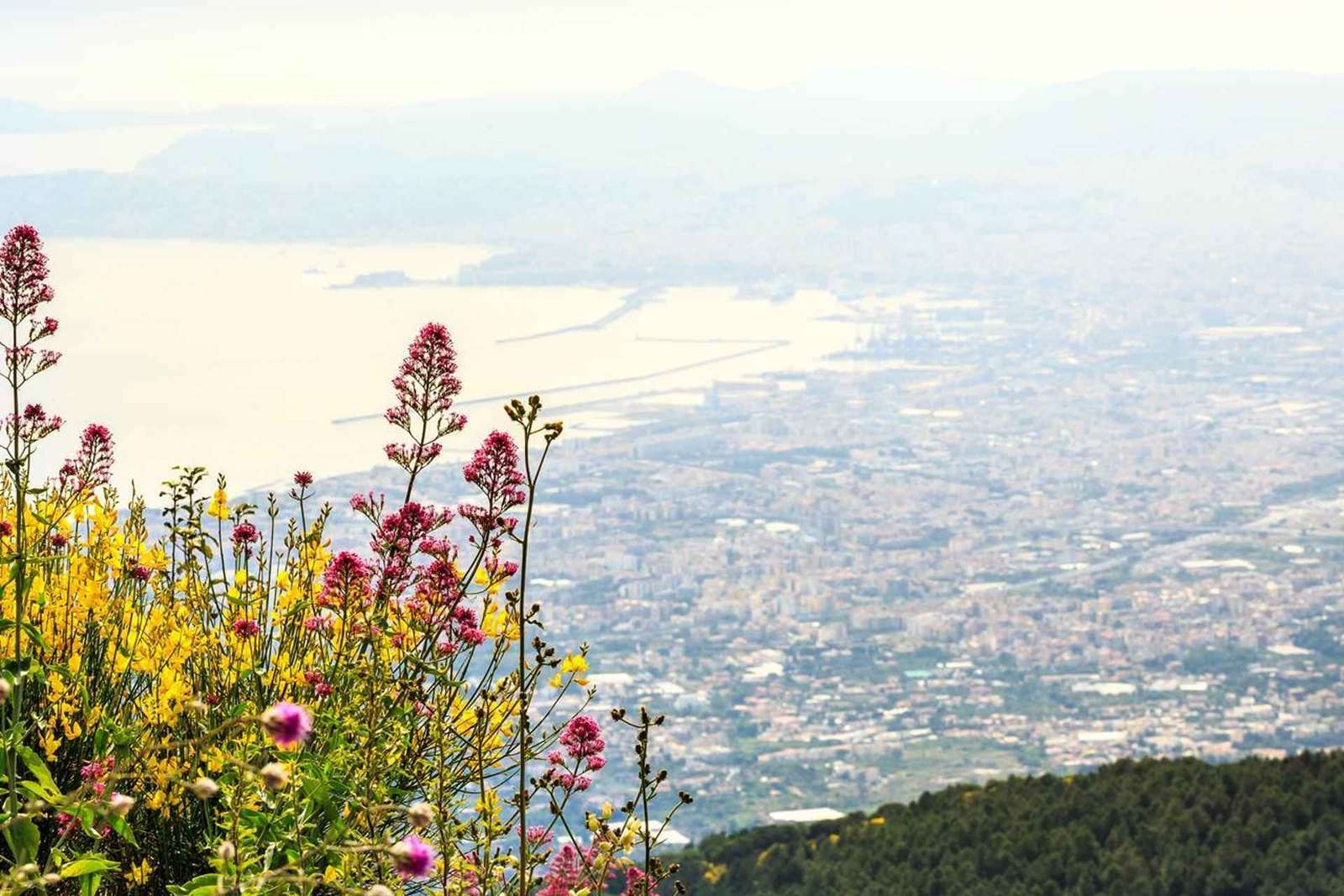 Depuis Naples : Transfert au Mont Vésuve avec billets d'entrée