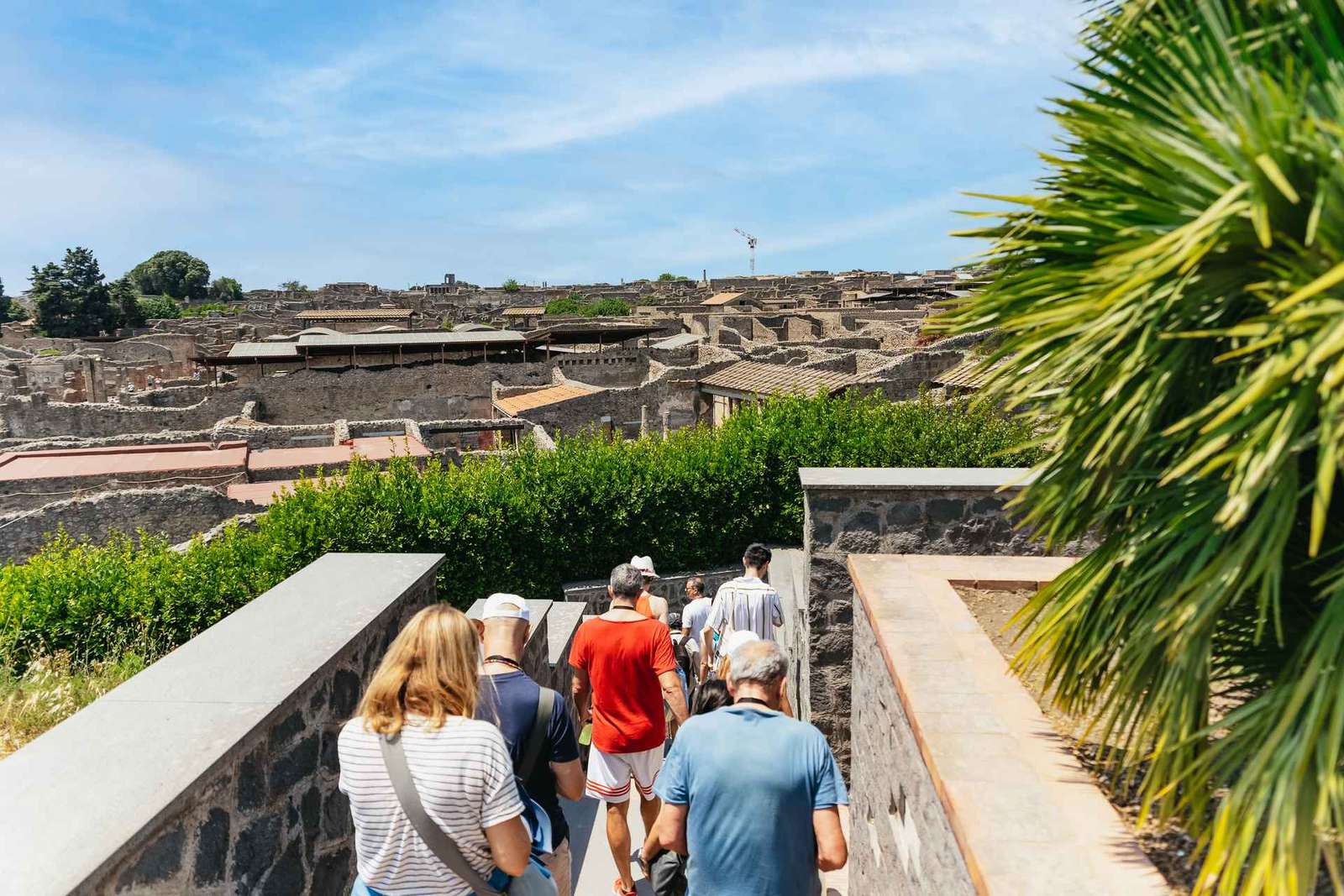 Pompeii and Vesuvius Day Trip with Pizza Lunch