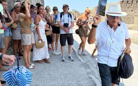 Sorrento: Skip-the-Line Pompeii Express Tour by Train
