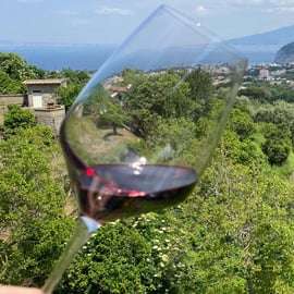 5 Degustaciones de Vino con Productos Típicos en la Costa Sorrentina
