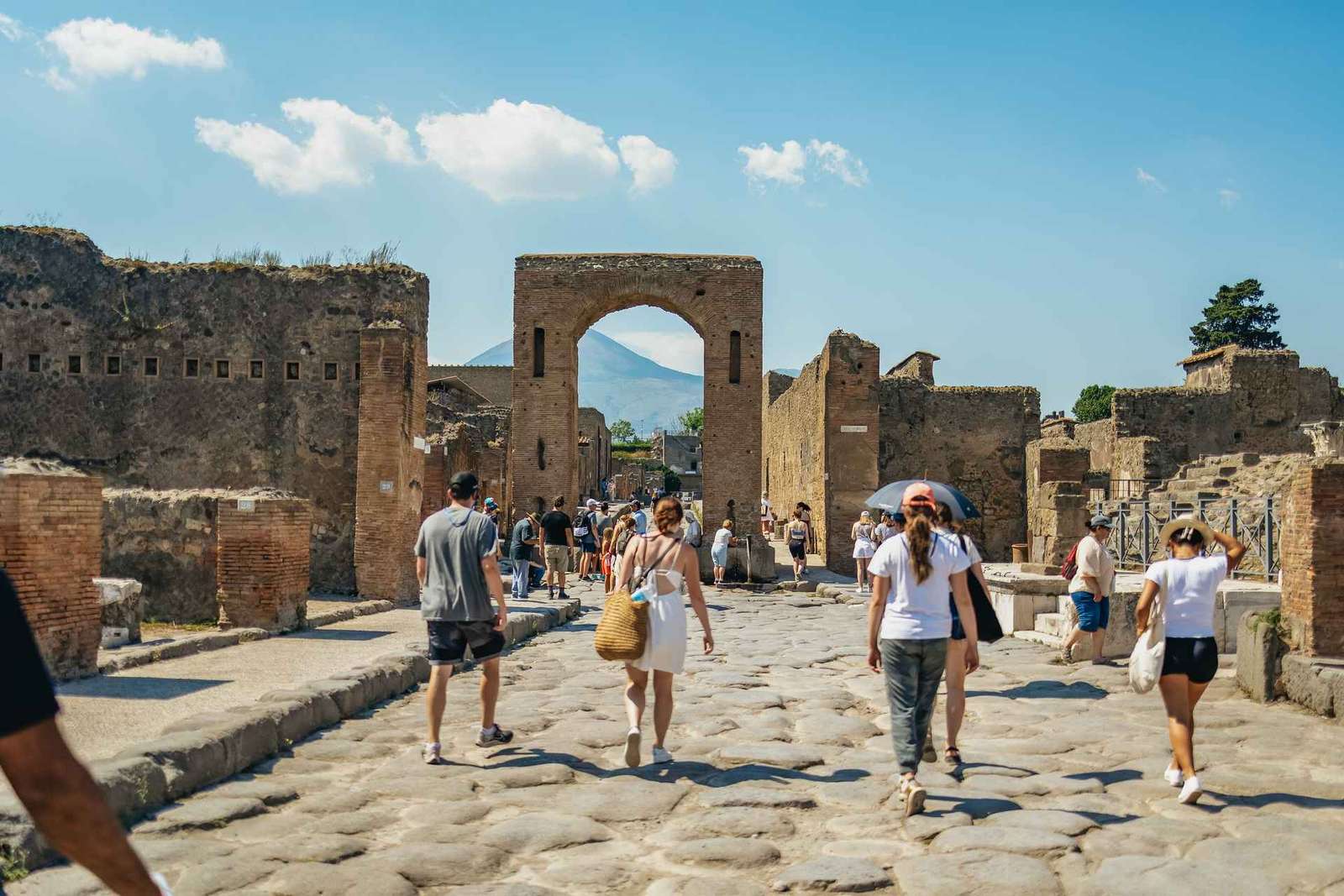 Pompeii: Archaeological Park Tour with Ticket on request