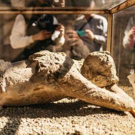 Pompeia: Tour particular com guia, acessível a cadeiras de rodas