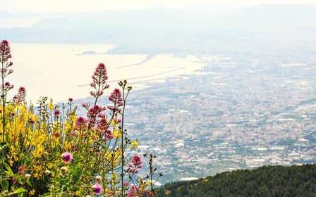 From Naples: Mount Vesuvius Transfer with Entry Tickets