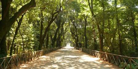 Park van Capodimonte