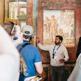 Pompeia: Visita exclusiva com arqueólogo e ingresso