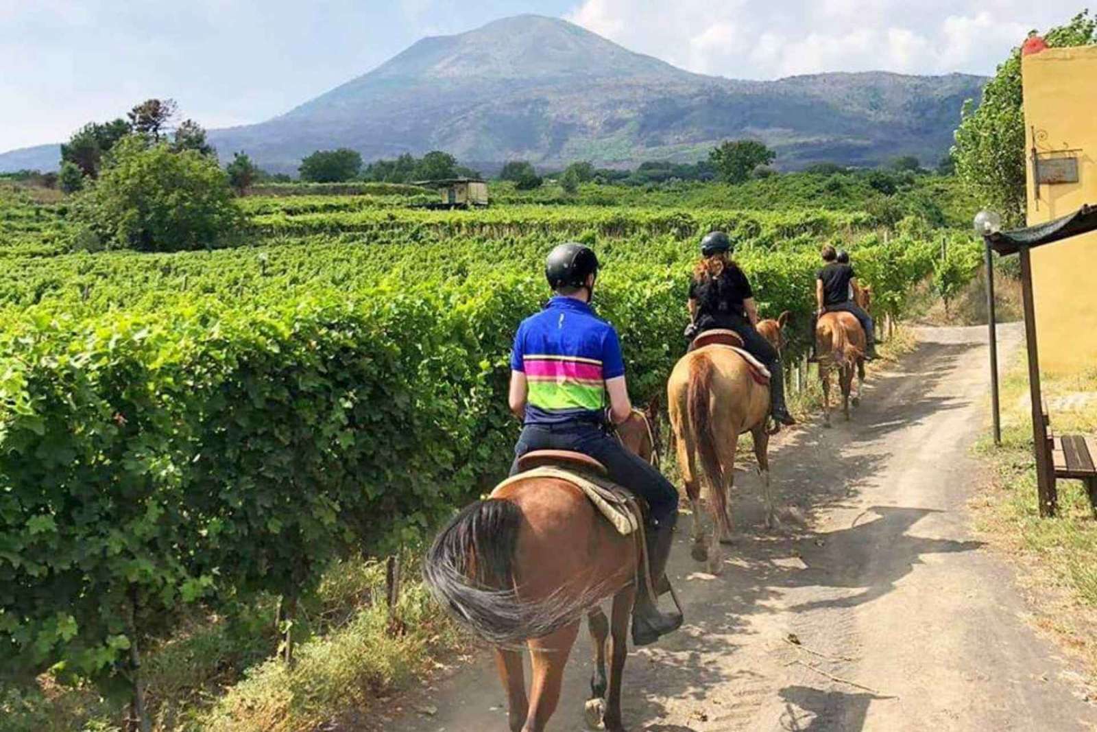 From Pompeii: Mount Vesuvius Horseback Riding Tour