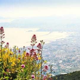 Depuis Naples : Transfert au Mont Vésuve avec billets d'entrée