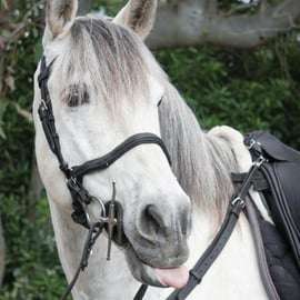 From Pompeii: Mount Vesuvius Horseback Riding Tour
