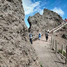 Vesuvius-ticket met voorrangstoegang en digitale audiogids