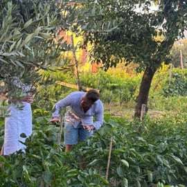 Cours de cuisine à Sorrente dans un jardin avec O'Masto