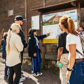Naples: Pompeii and Mt. Vesuvius with Lunch and Wine Tasting