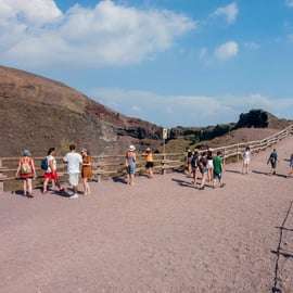 Vanuit Ercolano: Vesuvio Park toegangsbewijs en bus heen en terug