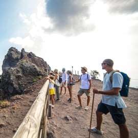 Sorrento: tour de día completo a Pompeya y al Monte Vesubio