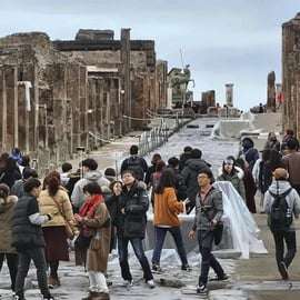 From Naples Pompeii & Mount Vesuvius Smart Tour with Tickets