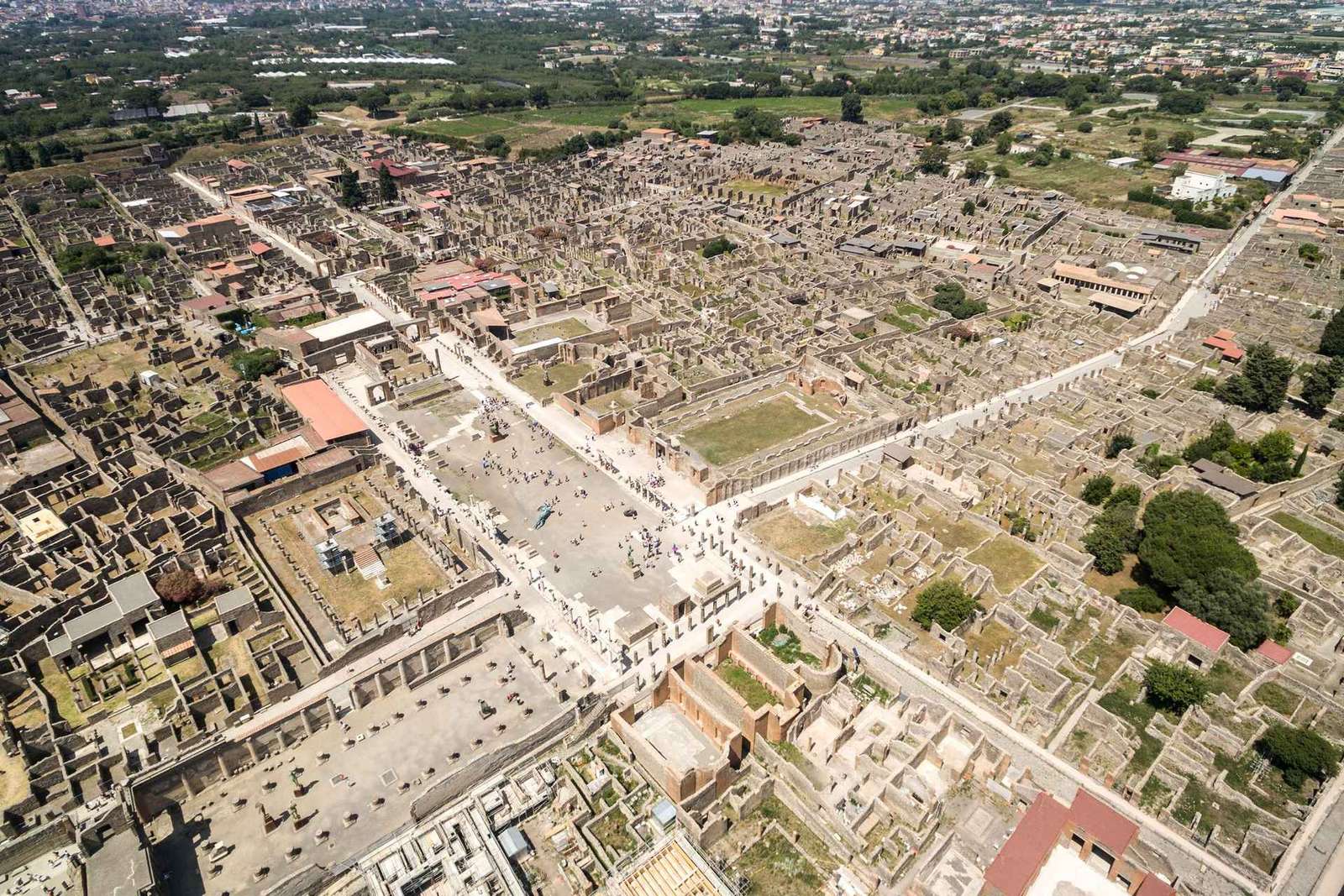 From Naples: Pompeii and Herculaneum Tour