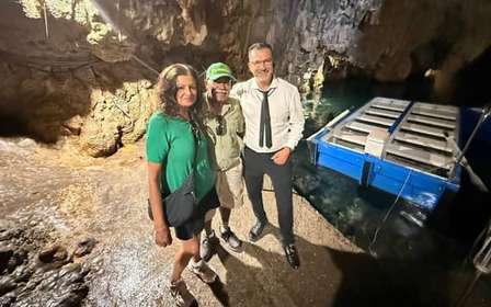 From Naples: One-Way Private Transfer to Sorrento