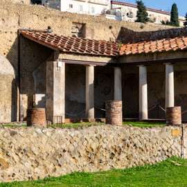 Depuis Naples : Herculanum coupe-file - Visite partagée