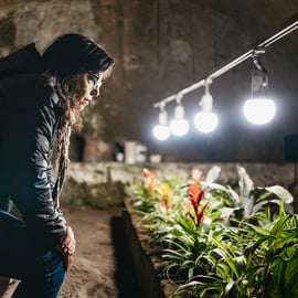 Naples Underground Tour with Skip-the-Line Entry