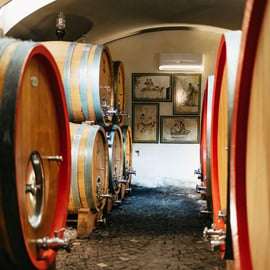 Naples: Pompeii and Mt. Vesuvius with Lunch and Wine Tasting